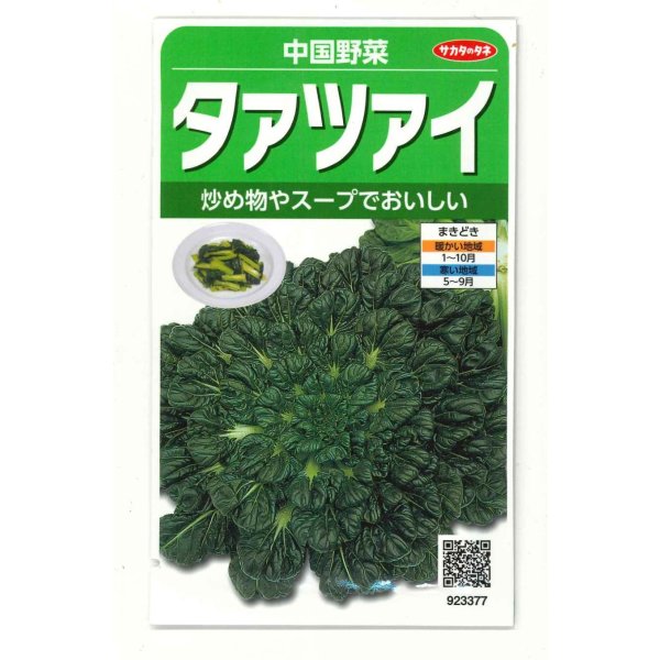 画像1: 送料無料　タアツアイ　約940粒　（株）サカタのタネ　実咲250（003000） (1)