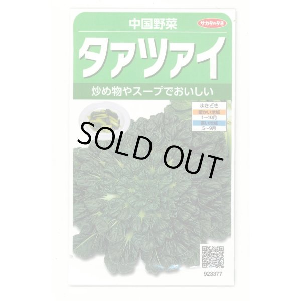画像1: 送料無料　タアツアイ　約940粒　（株）サカタのタネ　実咲250（003000） (1)