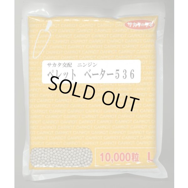 画像1: 送料無料[人参]　ベーター536　ペレット1万粒　（株）サカタのタネ (1)