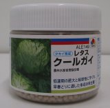 画像: [レタス]　クールガイ　ペレット5千粒　タキイ種苗(株)