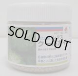 画像: [レタス]　クールガイ　ペレット5千粒　タキイ種苗(株)