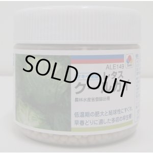 画像: [レタス]　クールガイ　ペレット5千粒　タキイ種苗(株)