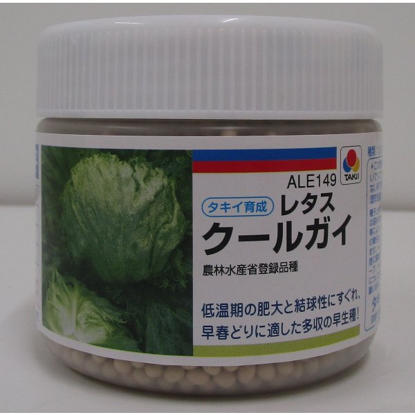 画像1: [レタス]　クールガイ　ペレット5千粒　タキイ種苗(株) (1)