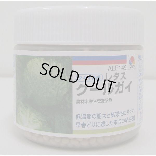 画像1: [レタス]　クールガイ　ペレット5千粒　タキイ種苗(株) (1)