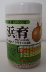 画像: [たまねぎ]　浜育　ペレット5千粒　カネコ種苗（株）