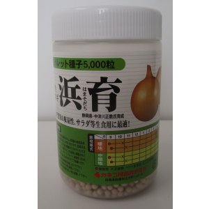 画像: [たまねぎ]　浜育　ペレット5千粒　カネコ種苗（株）