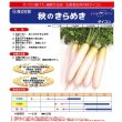 画像1: 送料無料　大根　秋のきらめき　ペレット種子5千粒　渡辺農事（株） (1)