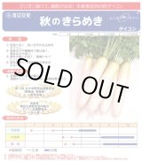 画像: 送料無料　大根　秋のきらめき　ペレット種子5千粒　渡辺農事（株）