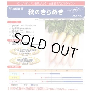 画像: 送料無料　大根　秋のきらめき　ペレット種子5千粒　渡辺農事（株）