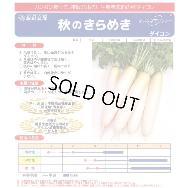 画像2: 送料無料　大根　秋のきらめき　1000粒　渡辺農事（株） (2)