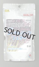画像: からしな コーラルリーフフェザー 2dl タキイ種苗（株）