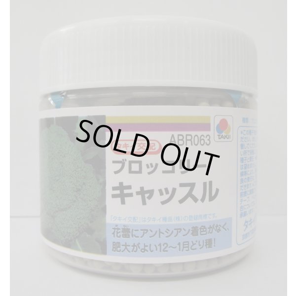 画像1: 送料無料　[ブロッコリー]　キャッスル　5000粒　ペレット種子　タキイ種苗(株) (1)