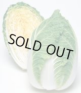 画像: 送料無料　[白菜]　きらぼし90　ペレット5千粒　タキイ種苗(株)