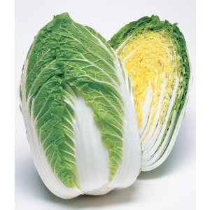 画像: 送料無料　[白菜]　きらぼし85　ペレット5千粒　タキイ種苗(株)