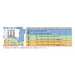 画像3: 送料無料　[白菜]　黄ごころ90　ペレット5千粒　タキイ種苗（株） (3)
