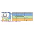 画像2: 送料無料　[白菜]　きらぼし85　ペレット5千粒　タキイ種苗(株) (2)