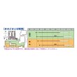 画像2: 送料無料　[白菜]　黄づつみ95　ペレット5千粒　タキイ種苗(株) (2)