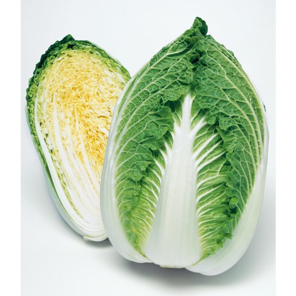 画像3: 送料無料　[白菜]　黄ごころ90　ペレット5千粒　タキイ種苗（株） (3)