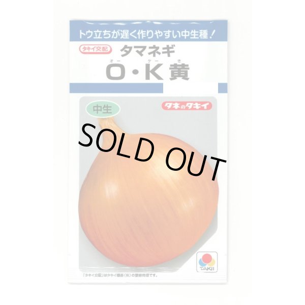 画像1: 送料無料　[たまねぎ]　O・K黄　6.5ml(約780粒)　タキイ種苗(株)　DF (1)