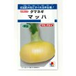 画像1: 送料無料　[たまねぎ]　マッハ　4.5ml(約580粒)　タキイ種苗(株)　DF (1)
