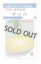 画像: 送料無料　[たまねぎ]　マッハ　4.5ml(約580粒)　タキイ種苗(株)　DF
