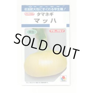 画像: 送料無料　[たまねぎ]　マッハ　4.5ml(約580粒)　タキイ種苗(株)　DF
