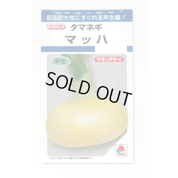 画像1: 送料無料　[たまねぎ]　マッハ　4.5ml(約580粒)　タキイ種苗(株)　DF (1)