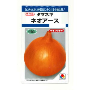 画像: 送料無料　[たまねぎ]　ネオアース　4.5ml(約650粒)　タキイ種苗(株)　DF
