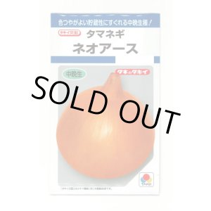 画像: 送料無料　[たまねぎ]　ネオアース　4.5ml(約650粒)　タキイ種苗(株)　DF