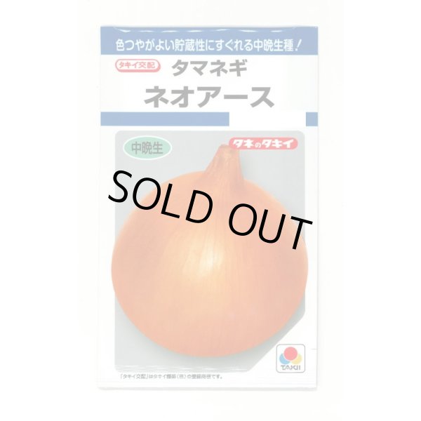 画像1: 送料無料　[たまねぎ]　ネオアース　4.5ml(約650粒)　タキイ種苗(株)　DF (1)