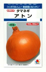 画像: 送料無料　[たまねぎ]　アトン　5.5ml(約650粒)　タキイ種苗(株)　DF