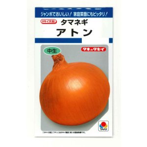 画像: 送料無料　[たまねぎ]　アトン　5.5ml(約650粒)　タキイ種苗(株)　DF