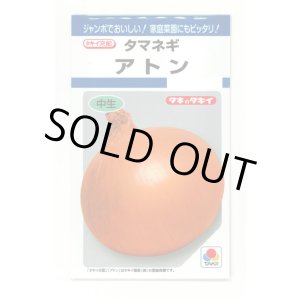 画像: 送料無料　[たまねぎ]　アトン　5.5ml(約650粒)　タキイ種苗(株)　DF