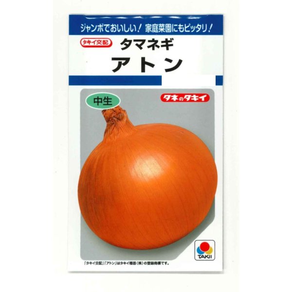 画像1: 送料無料　[たまねぎ]　アトン　5.5ml(約650粒)　タキイ種苗(株)　DF (1)