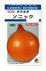 画像: 送料無料　[たまねぎ]　ソニック　4.5ml(約520粒)　タキイ種苗(株)　DF