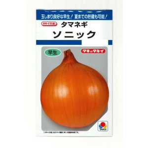 画像: 送料無料　[たまねぎ]　ソニック　4.5ml(約520粒)　タキイ種苗(株)　DF