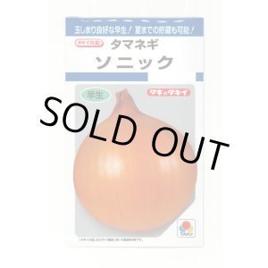画像: 送料無料　[たまねぎ]　ソニック　4.5ml(約520粒)　タキイ種苗(株)　DF