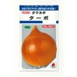 画像1: 送料無料　[たまねぎ]　ターボ　5.5ml(約580粒)　タキイ種苗(株)　DF (1)