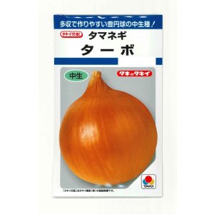 画像: 送料無料　[たまねぎ]　ターボ　5.5ml(約580粒)　タキイ種苗(株)　DF