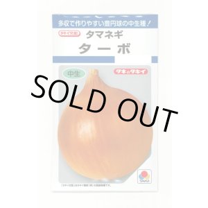 画像: 送料無料　[たまねぎ]　ターボ　5.5ml(約730粒)　タキイ種苗(株)　DF