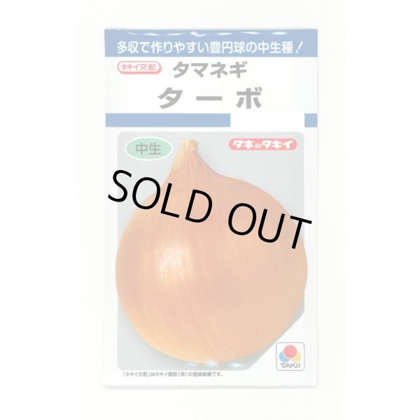 画像1: 送料無料　[たまねぎ]　ターボ　5.5ml(約730粒)　タキイ種苗(株)　DF (1)
