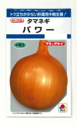 画像: 送料無料　[たまねぎ]　パワー　6ml　(約730粒)　タキイ種苗(株)　DF