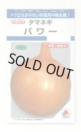 画像: 送料無料　[たまねぎ]　パワー　6ml　(約730粒)　タキイ種苗(株)　DF