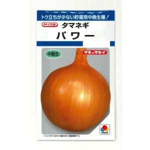 画像: 送料無料　[たまねぎ]　パワー　6ml　(約730粒)　タキイ種苗(株)　DF