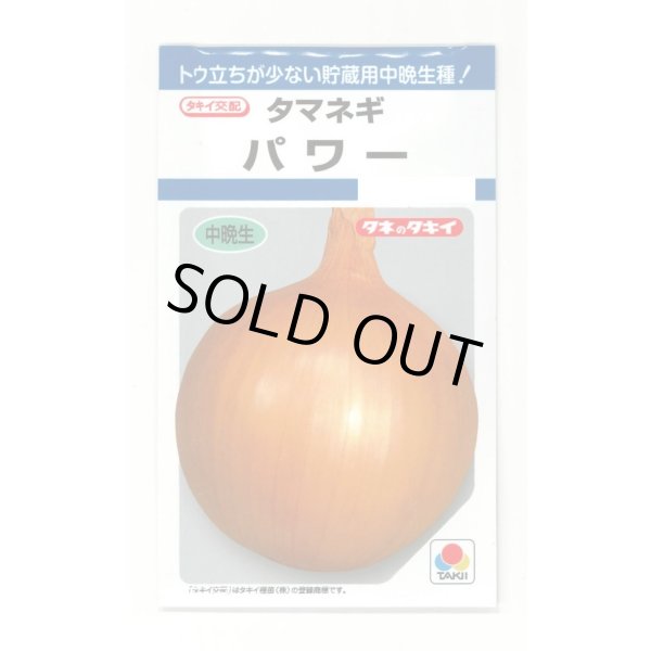 画像1: 送料無料　[たまねぎ]　パワー　6ml　(約730粒)　タキイ種苗(株)　DF (1)