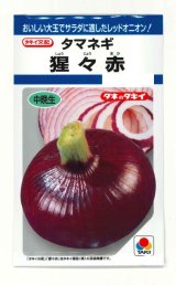 画像: 送料無料　[たまねぎ]　猩々赤　5.5ml(約720粒)　タキイ種苗(株)　DF