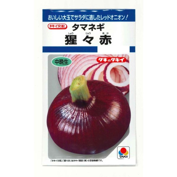 画像1: 送料無料　[たまねぎ]　猩々赤　5.5ml(約720粒)　タキイ種苗(株)　DF (1)