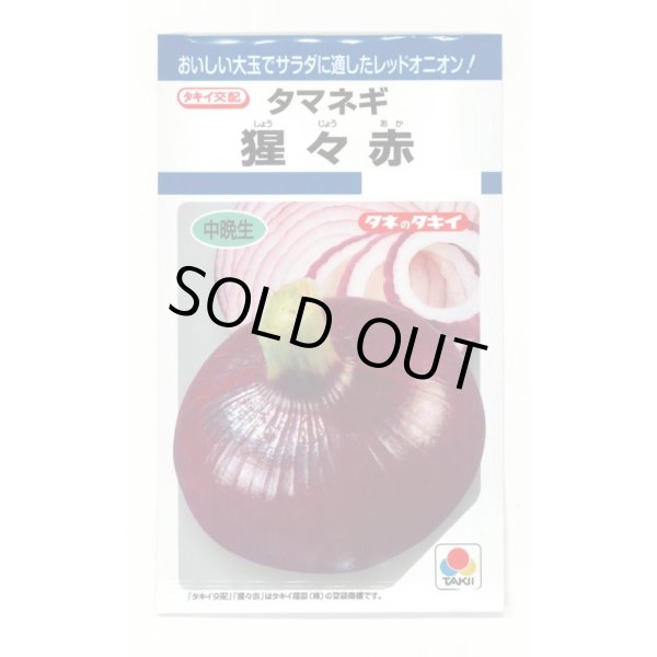 画像1: 送料無料　[たまねぎ]　猩々赤　5.5ml(約720粒)　タキイ種苗(株)　DF (1)