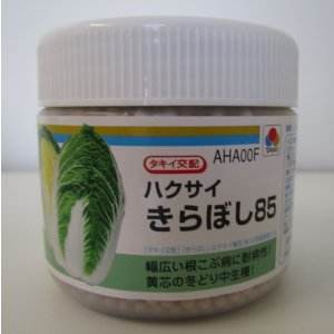 画像: 送料無料　[白菜]　きらぼし85　ペレット5千粒　タキイ種苗(株)