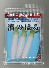 画像: 送料無料　[大根]　濱のはる　2dl　(株)サカタのタネ